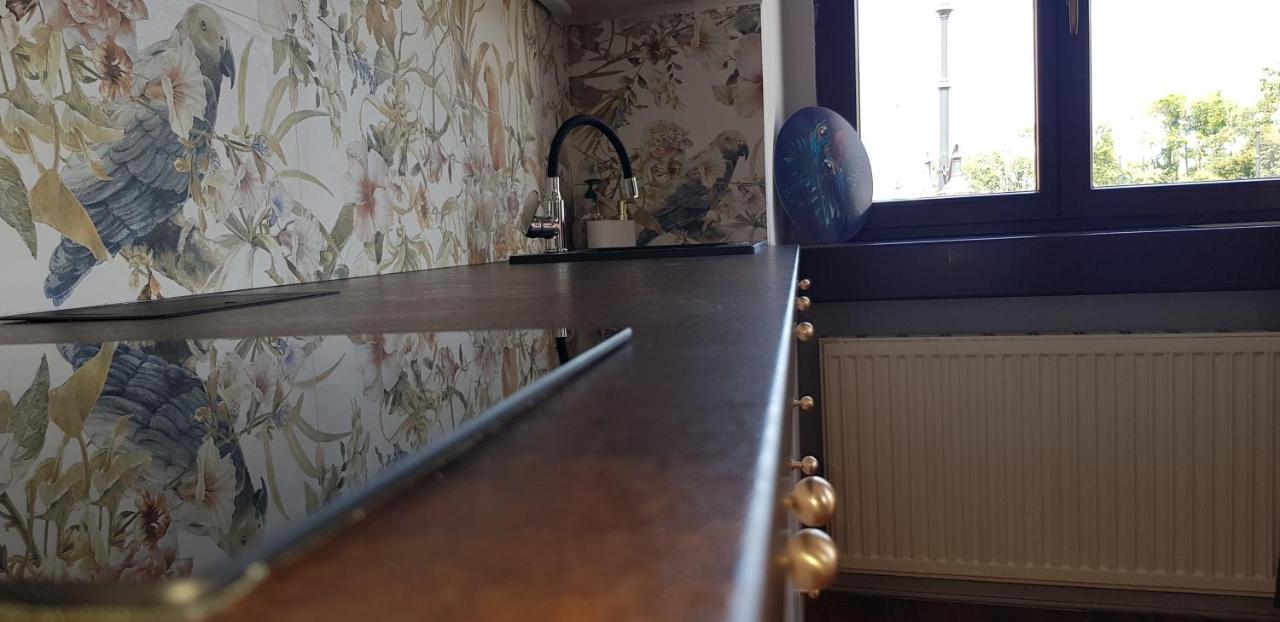 Astronomiczny Apartament , Mieszkanie 2 Pokojowe. Parking. Stary Toruń Eksteriør billede